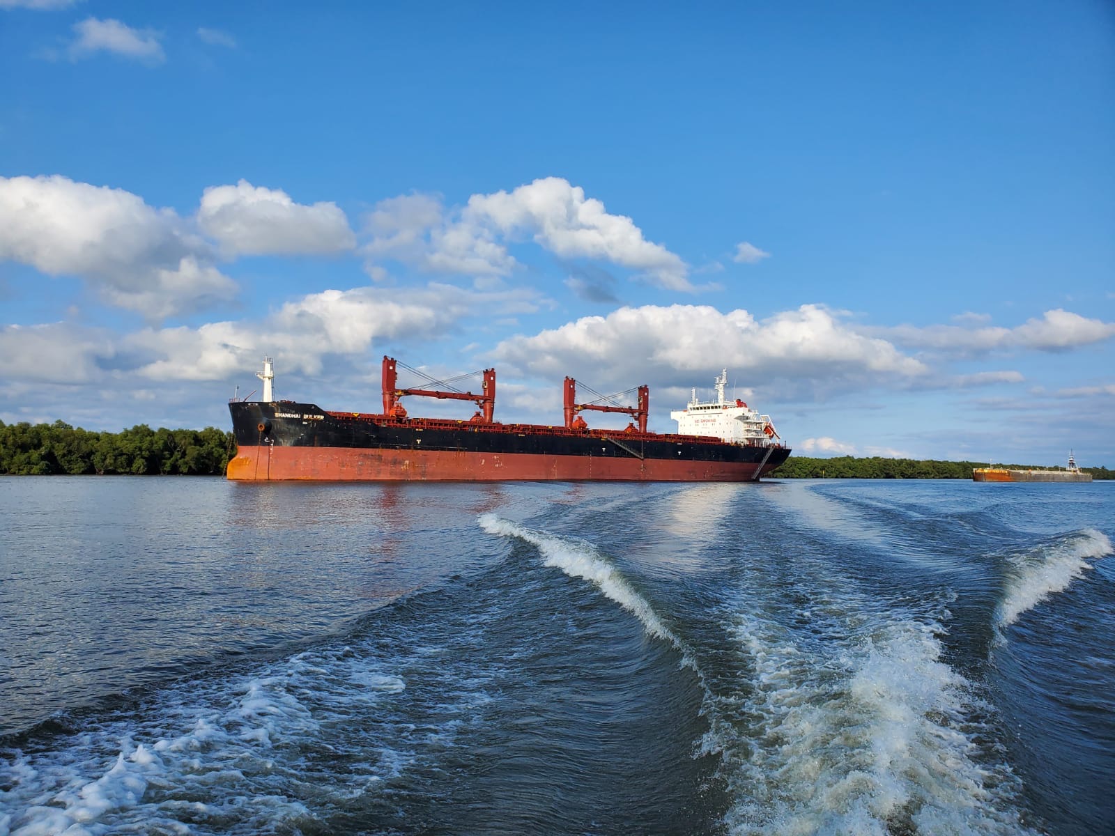 Marine cargo ship