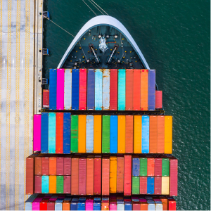 Container IICL Inspection